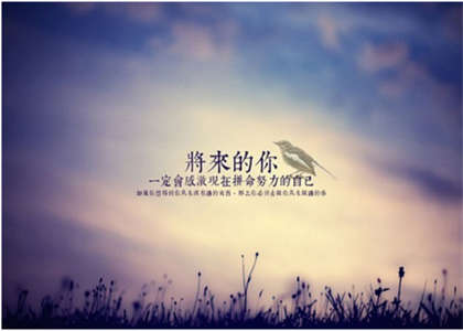 北京中医药大学考研资讯